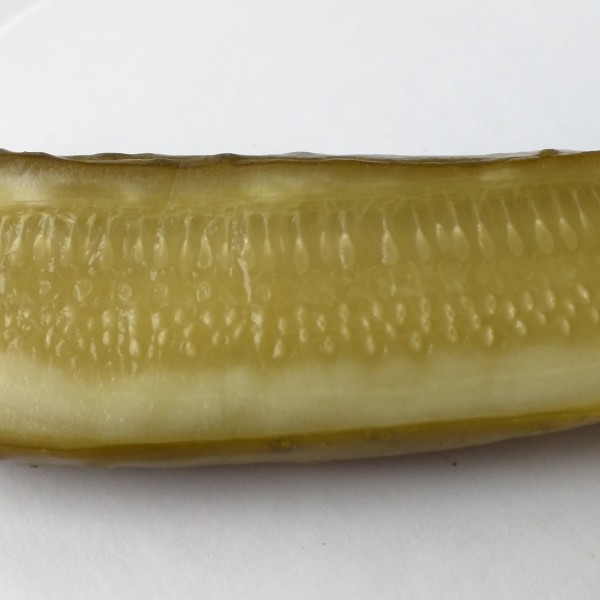 Pickle